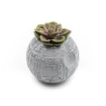 thumbnail image 2 of CultureFly Star Wars New Hope Ep. 4 Collectible Box, 2 of 6
