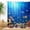 Deep Sea, variant on Ocean Underwater World Shower Curtain Colorful Tropical Fishes Turtle Coral in The Deep Sea Home Décor Waterproof Fabric 72Lx36W Inch Blue Plastic Hooks