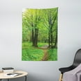 thumbnail image 1 of Nature Tapestry, Summer Season Forest with Flourishing Trees Grass and Pathway Tranquil Scenery, Wall Hanging for Bedroom Living Room Dorm Decor, 40W X 60L Inches, Fern Green Brown, by Ambesonne, 1 of 2