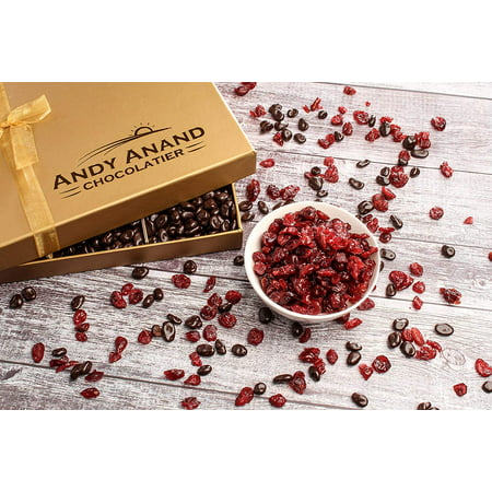 Andy Anand’s Chocolate covered California Cranberries 1 lbs, For Birthday, Anniversary Gourmet Christmas Holiday Food Gifts, Thanksgiving, Fathers Day, Get Well Baskets Idea for Men &