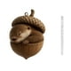 thumbnail image 2 of Lunxisen 1 Pcs Forest Christmas Ornaments, Christmas Tree Ornaments, Hazelnut with Cute Animals, Quality Resin Material, Beautifully Handcrafted with Intricate Details.(4in), 2 of 8