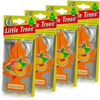 Little Trees Cardboard Hanging Car, Home & Office Air Freshener, Summer  Linen (Pack of 12) 