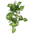 thumbnail image 1 of Miangastore Plante de Réservoir pour Reptile Plante Factice pour Reptile Ornement de Plante Réaliste Ornement de Plante Décor de Réservoir pour Reptile, 1 of 8