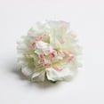thumbnail image 3 of 20 cabezas de rosas artificiales de seda, rosas de tela, cabezas de flores decorativas verde claro, 3 of 9