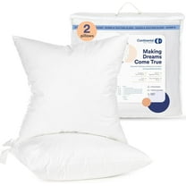 Continental Bedding Goose Down 25/75 Decorative Pillow Insert, Pack of 2, 22x22 Size