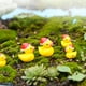 thumbnail image 3 of 20 piezas pequeños patos navideños, Mini patos de resina, adornos en miniatura para casa de muñecas, estatuas de pato, decoraciones de jardín, figuritas de pato, 3 of 5