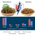 6LBs Natural Dried Soldier Fly Larvae 85XMore Calcium Than Dried Meal