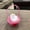 Pink, variant on LLQkigsxse Funny Toys Cat in The Hanging Doll Toy Cat in Shoe with Meows Sounds Sleeping Cute Toys for Kids Boys