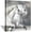 Horse Wall Art, variant on White Horse Picture Wall Art: Running Animal Artwork Painting Print on Wrapped Canvas for Bedroom (12'''' x 12'''')