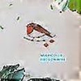 thumbnail image 2 of Hanging Multicolor Birds On Wire High Stained Acrylic Suncatcher Creative Window Panel Home Room De, 2 of 5