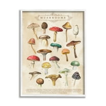 Stupell Industries Vintage Mushrooms Nature Studies Landscape Painting White Framed Art Print Wall Art