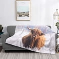 thumbnail image 2 of Rateoe Cow Pattern Flannel Throw Blanket, Ultra-soft Blanket for Bed, Couch, Car, Hypoallergenic Anti-pilling blanket-40"x30"(Horizontal), 2 of 6