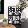 thumbnail image 6 of JennyGems Sisters by Chance Best Friends by Choice, Sister Gifts, Birthday Gift for Sister, Sister, Sister Gifts from Sisters, 6 of 12