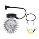 thumbnail image 1 of Risegun Volante de Motor de Motosierra, Repuesto de Accesorio de Volante de Sierra eléctrica de aleación de Aluminio con Cable de Encendido, línea de conexión para 362 365 371 372 372XP, 1 of 8