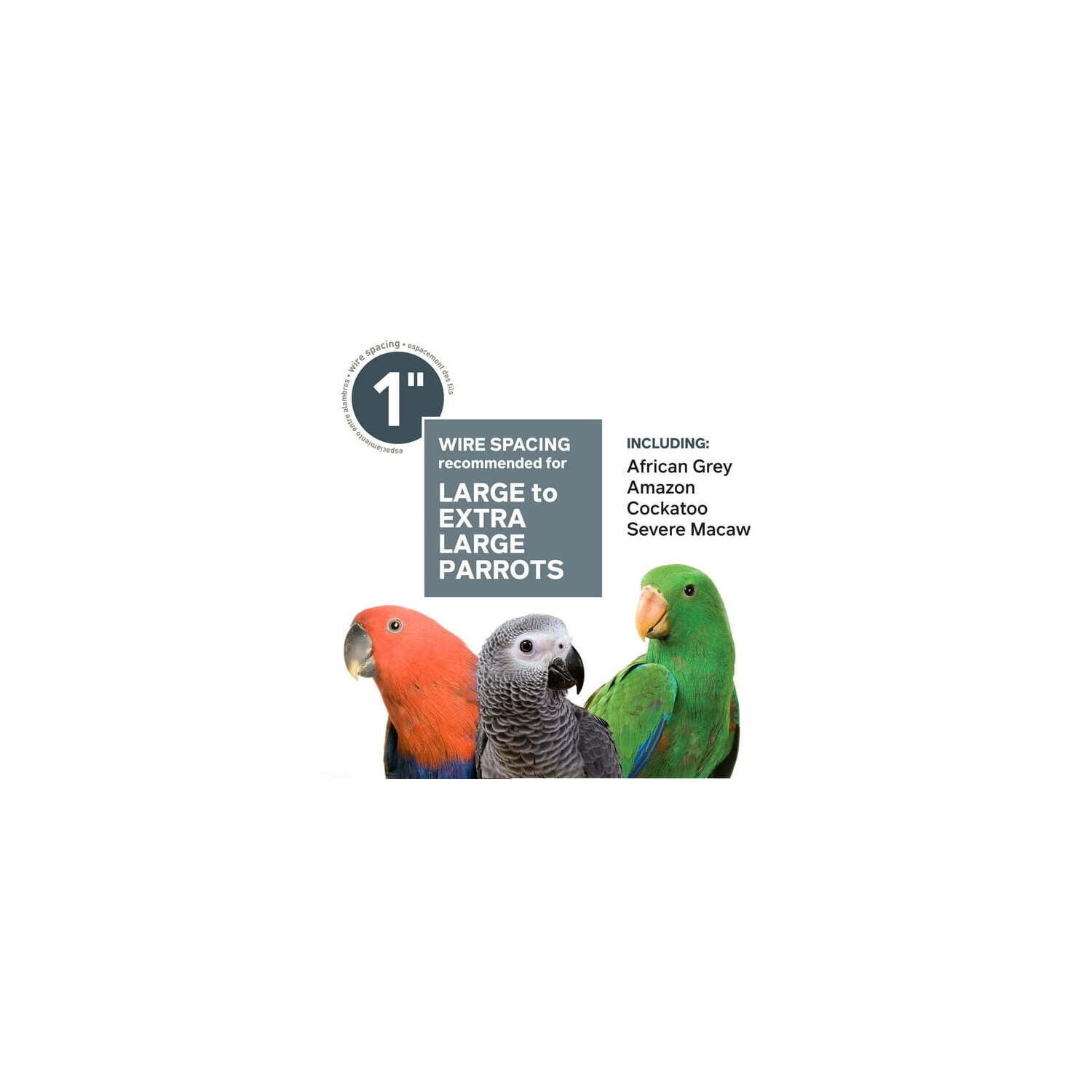 Stainless Steel Bird Cage - Spacious & Durable Bird Habitat