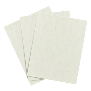 Parchment Paper Roll by Celebrate It in White | 1.25ft x 11yd | Michaels