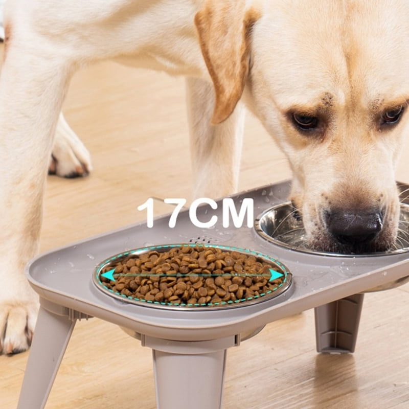 lanema Elevated Dog Bowl Stainless Dish Eating Bowls Suitable for Larger Pet
