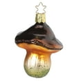 thumbnail image 1 of Inge Glas Bay Bolete Mushroom German Glass Christmas Ornament FREE BOX, 1 of 2