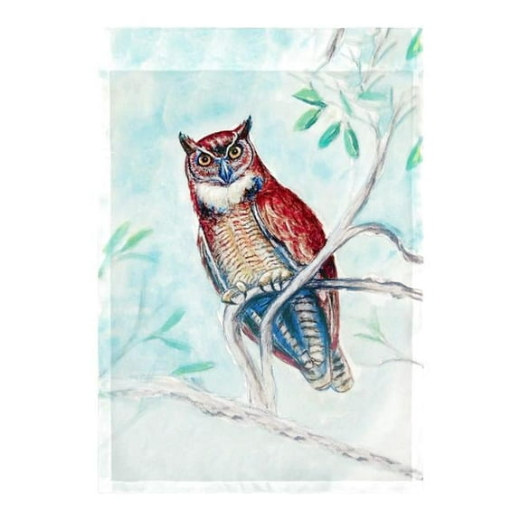 Betsy Drake FL732 12.5 x 18 in. Owl in Teal Flag