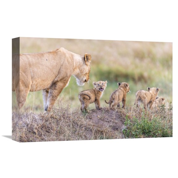 Global Gallery Ted Taylor,'Let's Go Mom' Stretched Canvas Artwork