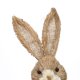 thumbnail image 3 of Conejito de Pascua Adornos Simulación Conejo Fotografía Atrezzo Decoración del hogar (D) Wdftyju Libre de BPA, 3 of 7