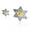 Two-tone, variant on Stainless Steel Silver-Tone Gold-Tone Jewish Star of David Stud Earrings