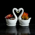 thumbnail image 3 of White Ceramic Swan Flowerpot Succulent Flower Planter Swan-Shaped Pots, 3 of 7