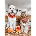 thumbnail image 5 of Midlee Thanksgiving Turkey Decorative Dog Collar (X-Large), 5 of 7