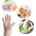 thumbnail image 2 of 500x Transparent Disposable Gloves Foil Gloves Compatible With Kitchen Restaurant Cooking, 2 of 5
