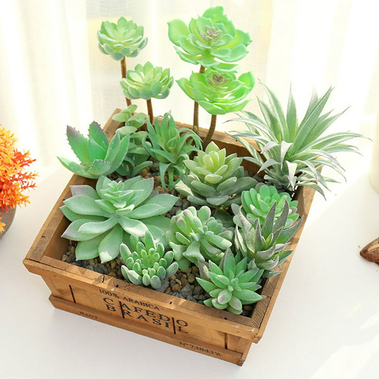 DIY EPIPHYLLUM PLANT /FOAM plant CRAFT/FOAM CRAFT ideas !! #48 BEAUTIFUL  FLOWERY bloom cactus DIY 