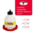 thumbnail image 3 of Little Giant PPF5 5 Gallon Automatic Poultry Waterer for Chickens, Red (4 Pack), 3 of 11