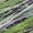 Green, variant on Addison Rugs Mayfield Premium Machine Washable Transitional Stripes Teal Rectangle Rug, 10' x 14'
