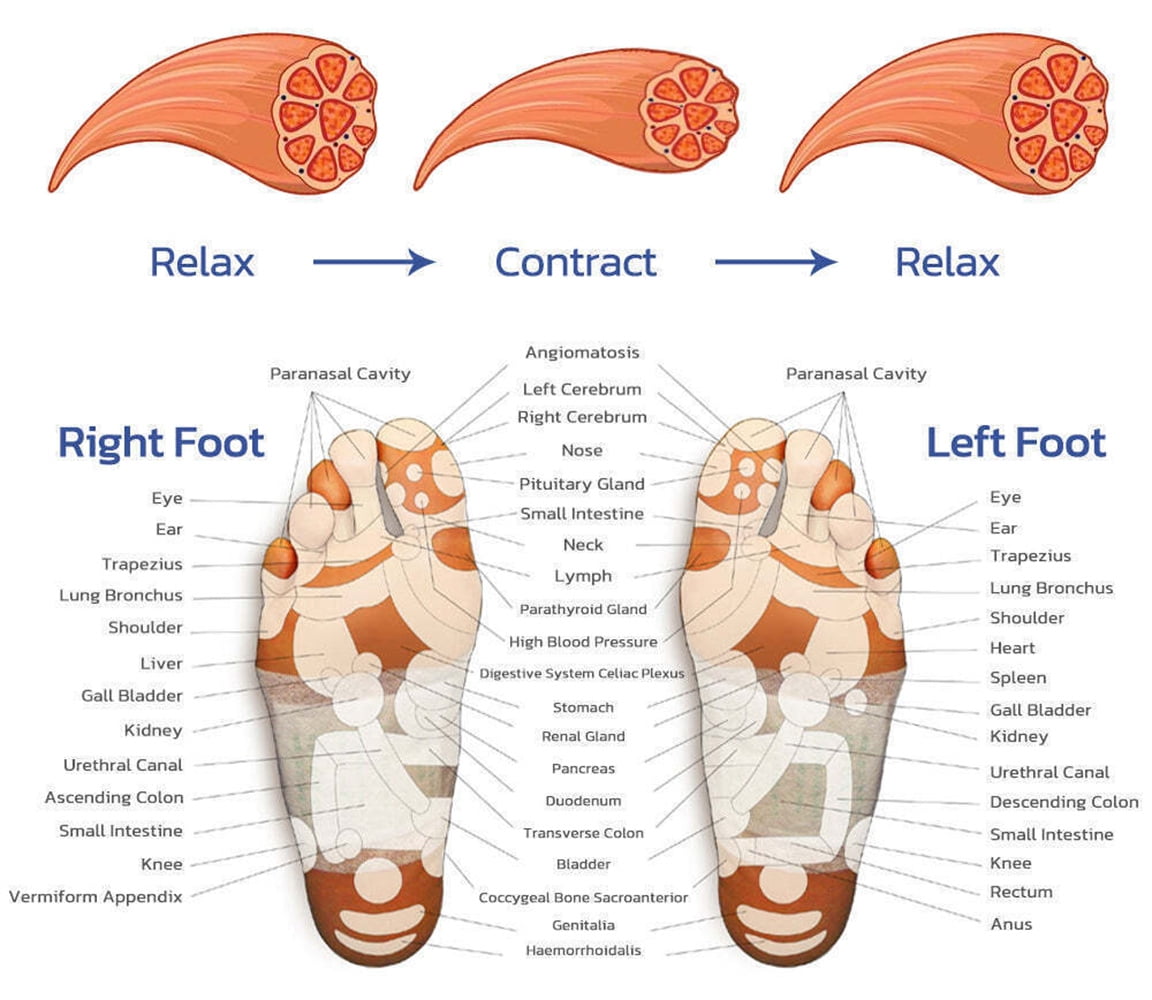 SHELLTON Electric Foot Massager Mat, EMS Foot Massager, Muscle Relaxation Trainer Electrical Stimulation Training, Promoting Blood Circulation