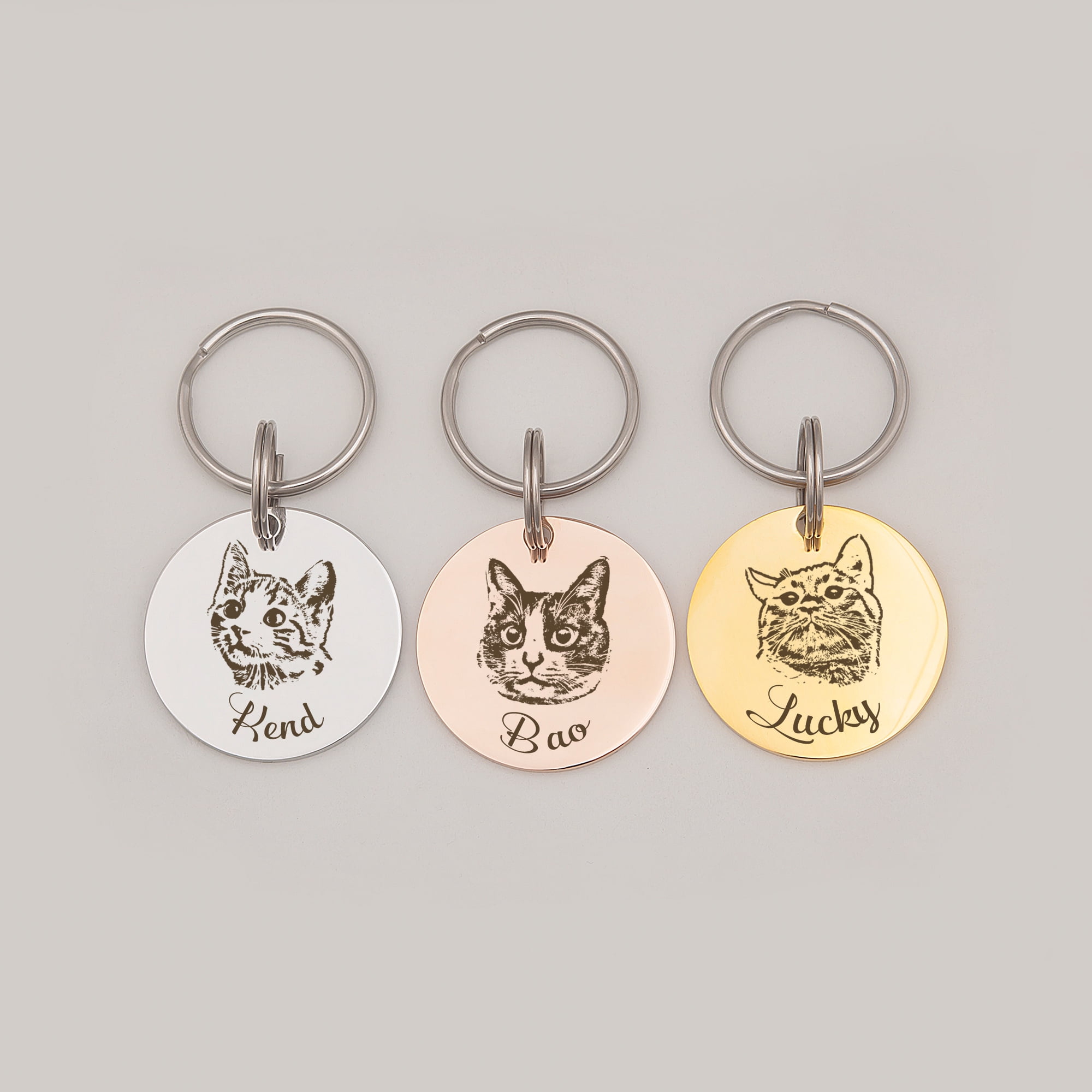 Anavia Metal Stainless Steel Round Name - Dog Picture Birthday Holiday Christmas Engraved Dog Cat ID Tag, Silver