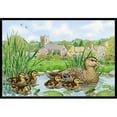 thumbnail image 1 of Carolines Treasures ASA2178JMAT Tapis Intérieur Ou Extérieur Canard Colvert - 24 x 36, 1 of 4