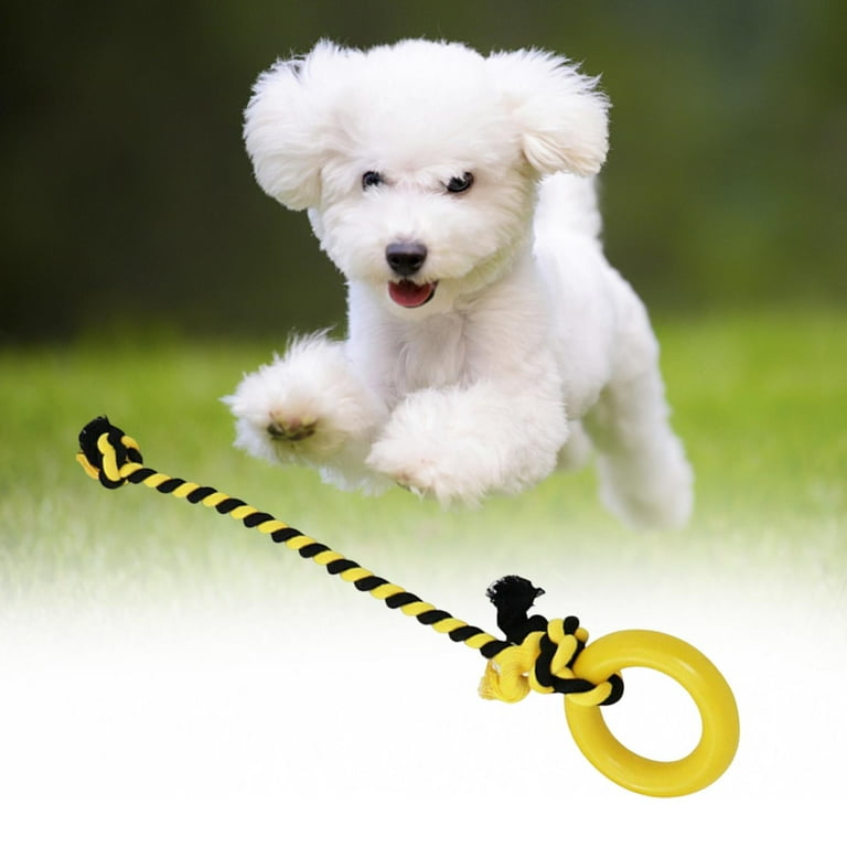 Dog pull toy for yard 2025