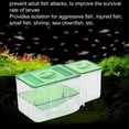 thumbnail image 4 of Suodoka Dual‑Layer Fish Breeding & Isolation Box – 5.9"×7.9" for Newborns, Shrimp & Aggressive Fish, 4 of 7