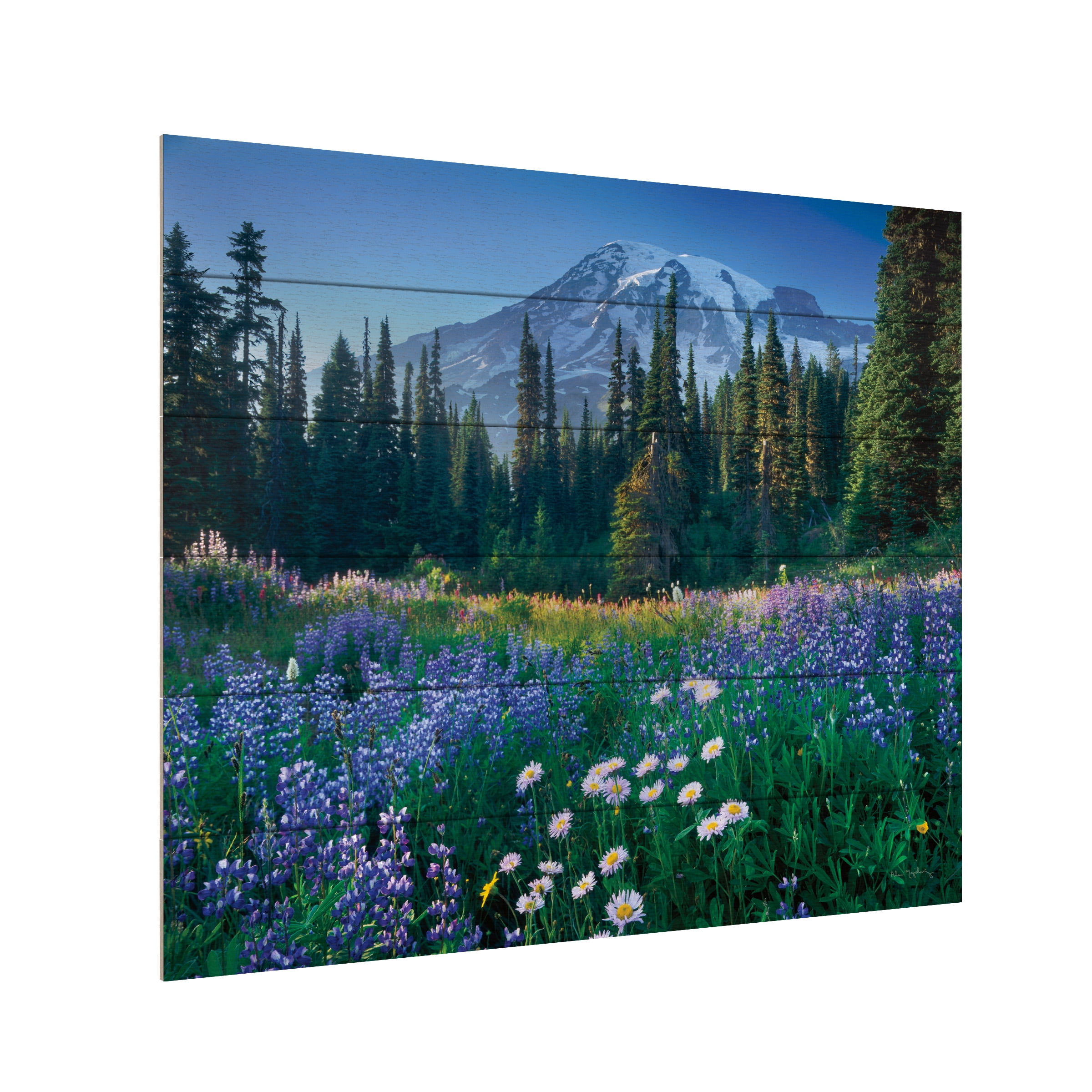Alan Majchrowicz 'Mount Rainier' Wood Slat Art 18x22