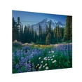 thumbnail image 2 of Alan Majchrowicz 'Mount Rainier' Wood Slat Art 18x22, 2 of 5