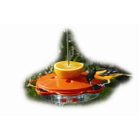 Baby Food Feeder Walmart Baby Food Feeder Walmart