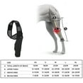 thumbnail image 2 of Gostoto Pet Dog Fixed Knee Brace Fracture And Disability Dog Leg Auxiliary Belt Pet Joint Protector, 2 of 7