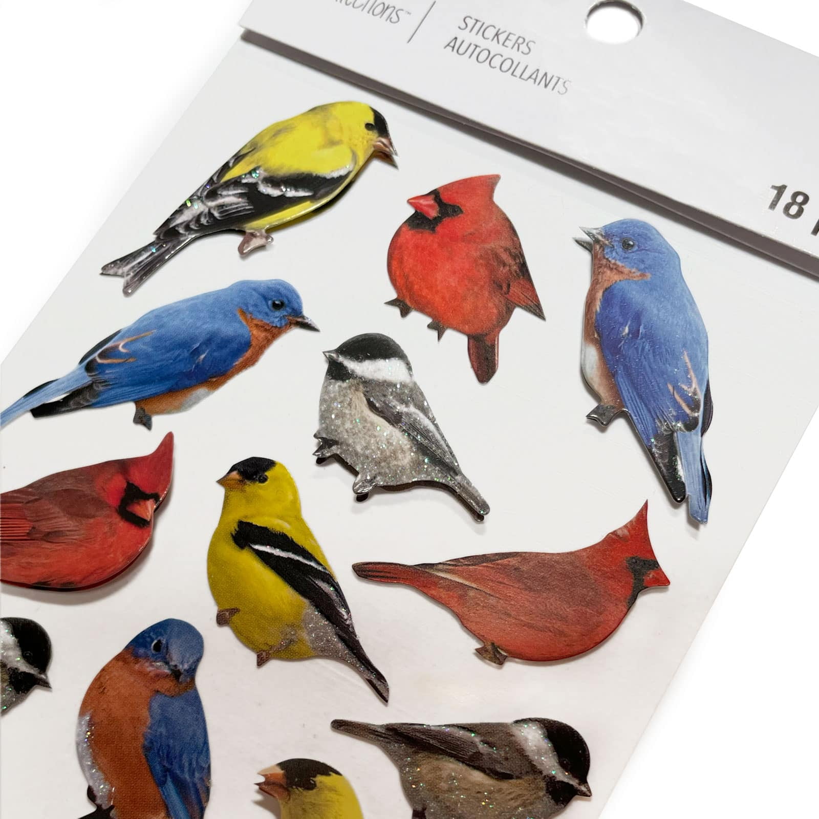 Recollections Bird Stickers, 12 Packs: 18 ct. (216 total)