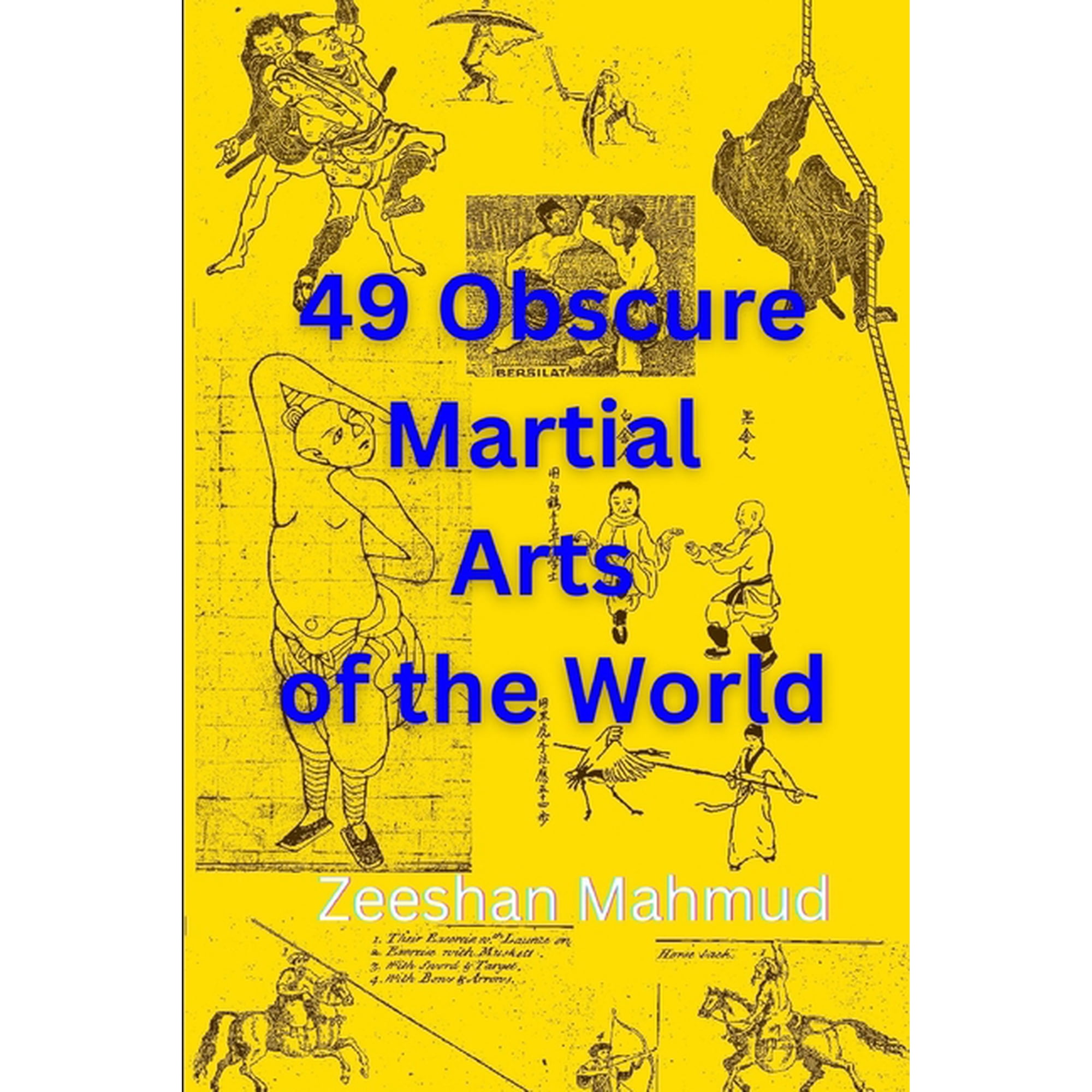 49 Obscure Martial Arts of the World, (Paperback)