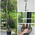 thumbnail image 6 of 14"x14"x60" Dragon Fruit Trellis - Durable Metal Vertical Support Frame for Climbing Plants, Easy Assembly with Instructions, for Dragon Fruit Enthusiasts, 6 of 8
