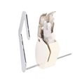thumbnail image 3 of Sewing Machine Walking Foot, Professional Replacement Versatile Walking Presser Foot  for Quilting, 3 of 7