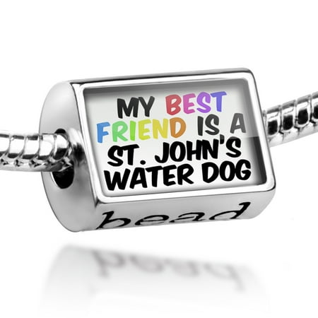 Bead My best Friend a St. John's water Dog from Newfoundland, Canada Charm Fits All European