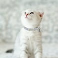 thumbnail image 3 of Pet Artist Sequins Quick Release Cat Collar Safety Breakaway Personalised ID Name Collars, 3 of 12