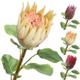 thumbnail image 2 of Coofit Artificial Flower Lifelike Protea Flower Arrangement Vase Flower for Wedding, 2 of 5