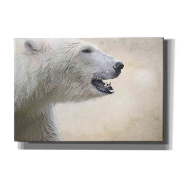 Epic Graffiti 'Polar' by Karen Smith, Canvas Wall Art, 26"x18"
