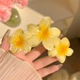 thumbnail image 1 of Pinza para el pelo con forma de huevo y flor degradada para mujer y niña, horquillas acrílicas dulces, accesorios para el cabello hawaianos para playa y verano, 1 of 5